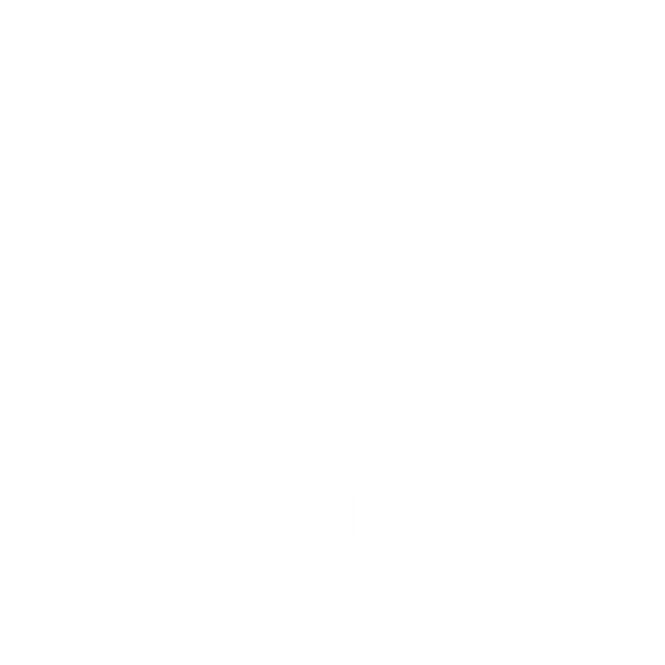 Dominus Sports